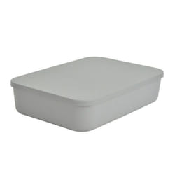 Boîte de Rangement Avec Couvercle Iris 55L Gris