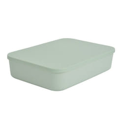 Boîte de Rangement Avec Couvercle Iris 55L Sauge