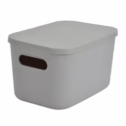 Boîte de Rangement Avec Couvercle Iris 45L Gris