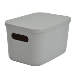Boîte de Rangement Avec Couvercle Iris 45L Gris