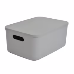 Boîte de Rangement Avec Couvercle Iris 105L Gris