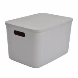 Boîte de Rangement Avec Couvercle Iris 155L Gris