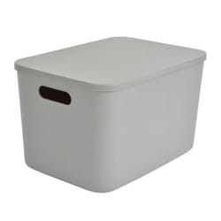 Boîte de Rangement Avec Couvercle Iris 155L Gris