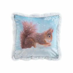 Paris Prix Coussin Déco Velours Écureuil - Bleu