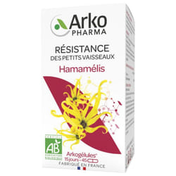 Arkopharma Arkogélules Hamamélis Bio 45 Gélules