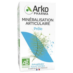 Arkopharma Arkogélules Prêle Bio 45 Gélules