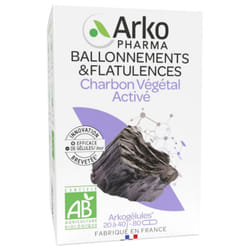 Arkopharma Arkogélules Charbon Végétal Activé Bio 80 Gélules