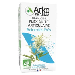 Arkopharma Arkogélules Reine des Prés Bio 45 Gélules