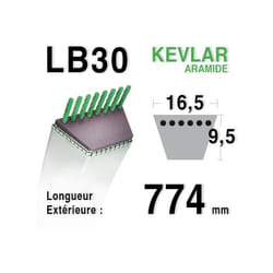 Courroie lisse LB30