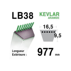 Courroie lisse LB38