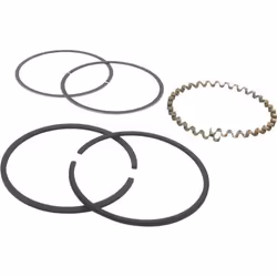 Greenstar 7890 Jeu de segment adaptable pour Briggs - Stratton