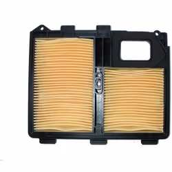 Greenstar 5437 Filtre à air pour Honda GX610/620/GXV610/GXV620 241 x 200 x 29 mm