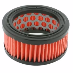 Greenstar 5533 Filtre à air adaptable Echo pour CS370/CS400/CS5000 31 mm