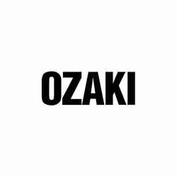 Chaîne de tronçonneuse OZAKI Pro semi carrée - OZAKI - .325 E76