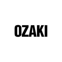 Chaîne de tronçonneuse OZAKI Pro semi carrée - OZAKI - .325 E76