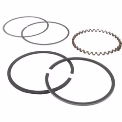 Jeu de segments adaptable pour KOHLER modèle K-301 12 ch
