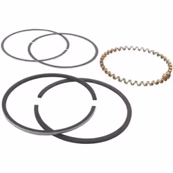 Jeu de segments - KOHLER - K-241 - 10 ch - pièce détachée motoculture