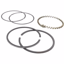 Jeu de segments adaptable pour KOHLER modèle K-301 12 ch