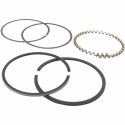 Jeu de segments adaptable pour KOHLER modèle K-241 10 ch