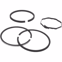 Segments KOHLER 232577 modèles K-181 - 8 ch