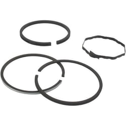 Segments KOHLER 232577 modèles K-181 - 8 ch