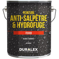 Peinture hydrofuge Fixxo 1kg - DURALEX - 110100503