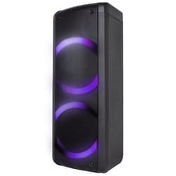Enceinte High Powe Gamme DJ 100W - Blaupunkt - BLP3945-133 - Noir