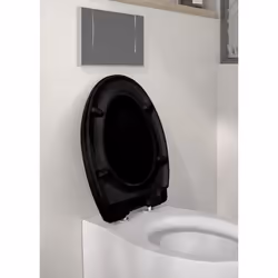 Allibert 824423 siège de toilette Thermoplastique Noir