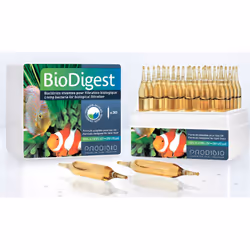 Prodibio BioDigest
