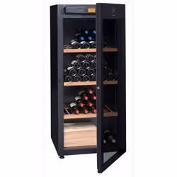Avintage DVP180G refroidisseur à vin Refroidisseur de vin thermoélectrique Pose libre Noir 178 bouteille(s)