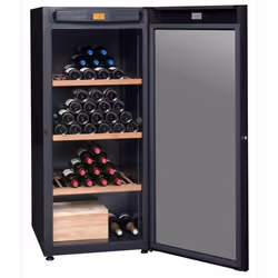 Avintage DVP180G refroidisseur à vin Refroidisseur de vin thermoélectrique Pose libre Noir 178 bouteille(s)