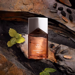Mercedes-Benz Triology Land 60ml Hommes - Vue supplémentaire 4