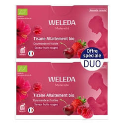 Weleda Maternité Tisane Allaitement Saveur Fruits Rouges Bio Lot de 2 x 20 Sachets