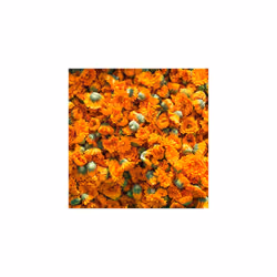 WELEDA - Pâte dentifrice au Calendula - 75 ml