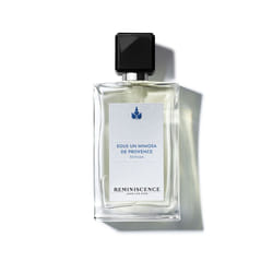Sous Un Mimosa De Provence eau de toilette vaporisateur intense 50 ml