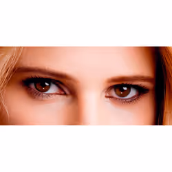 Color Riche Brow Artist crayon sourcils #5.0-brun clair