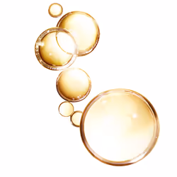 Elvive aceite extraordinario tratamiento seco 100 ml