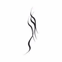 Eye Studio gel eyeliner #black