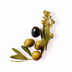 Original Remedies conditionneur d’olive mythique