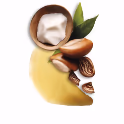 Original Remedies shampooing avocat et karité 300 ml
