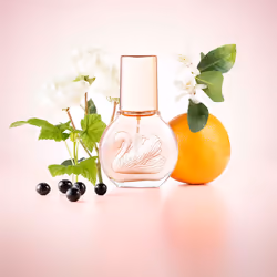 Miss Vanderbilt eau de toilette vaporisateur 100 ml