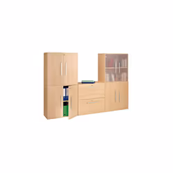 Idéal pour classer vos dossiers, ranger vos livres ou présenter des objets. Module de bibliothèque avec 2 cases. Réalisé en p ...