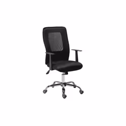 Un fauteuil de bureau à l'assise galbée et avec les accoudoirs fournis. Sa cambrure lombaire marquée et son assise débordante ...