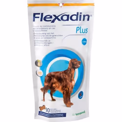 Chondroprotecteur - Flexadin Plus - Maxi - Chien (>10kg) - 90 bouchées - Anti-arthrose