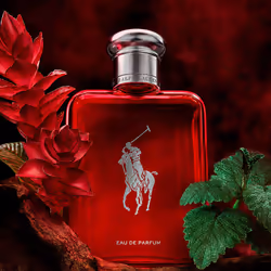 Polo Red eau de parfum vaporisateur 75 ml