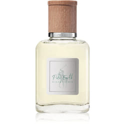 Ralph Lauren Polo Earth 40 ml