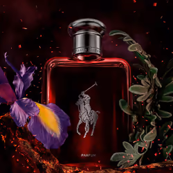 Polo Red Parfum eau de parfum vaporisateur 75 ml