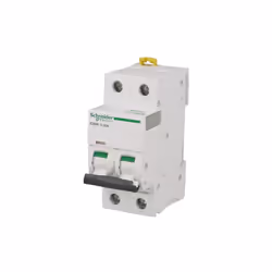 Disjoncteur 2 pôles, courbe D. De calibre 16A. Certifié IEC 60898-1. Faites votre choix de Disjoncteur courbe D SCHNEIDER ELE ...