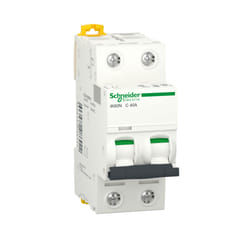 Schneider Electric A9K24240 coupe-circuits Type C 2 4 module(s)