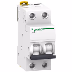 Schneider Electric A9K24240 coupe-circuits Type C 2 4 module(s)